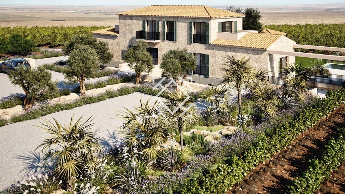 Finca in Santa Maria del Cami, Balearic Islands, Spain 3 - 17548509