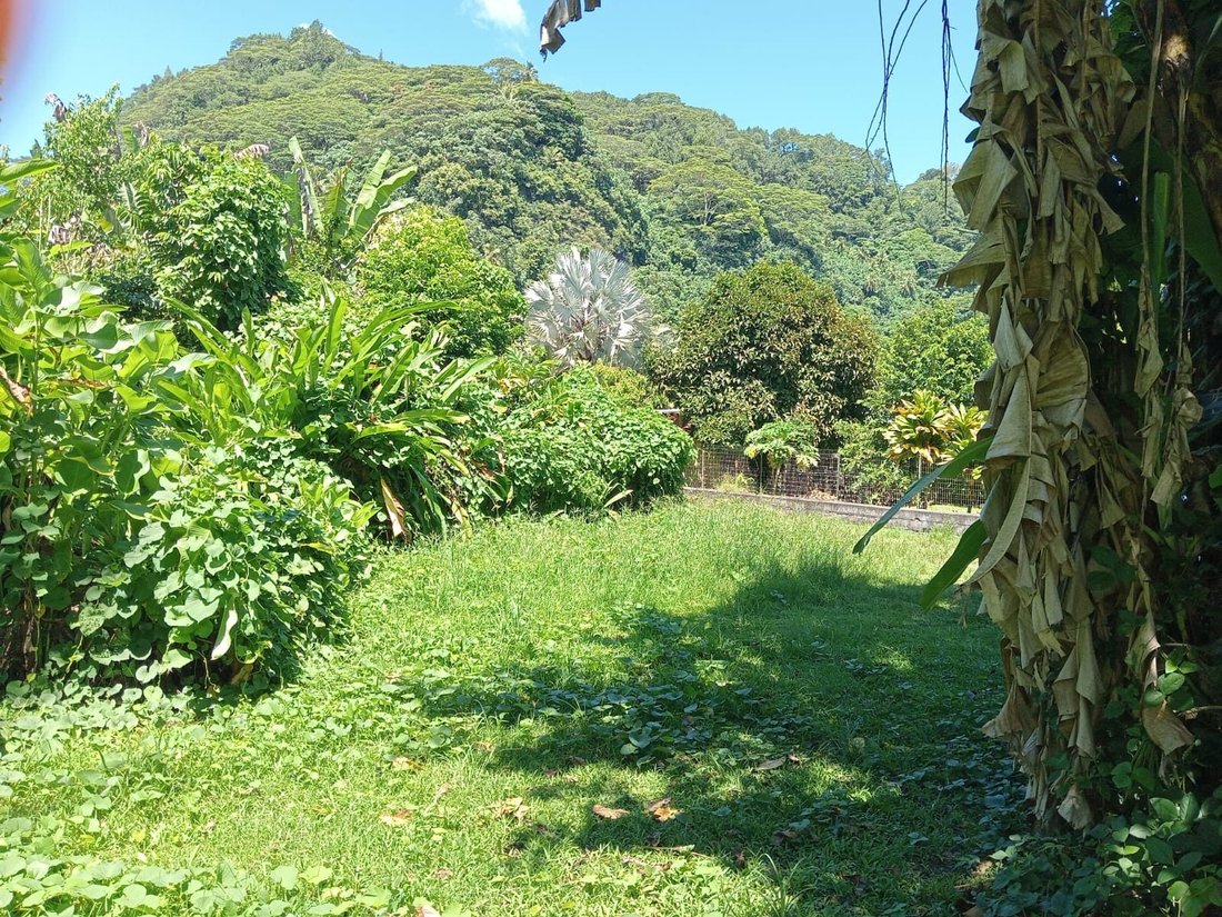 Land in Afaahiti, Windward Islands, French Polynesia 1 - 17554208