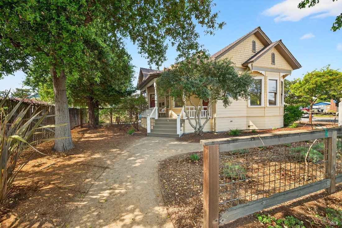 Petaluma, California, United States 2 - 17550744