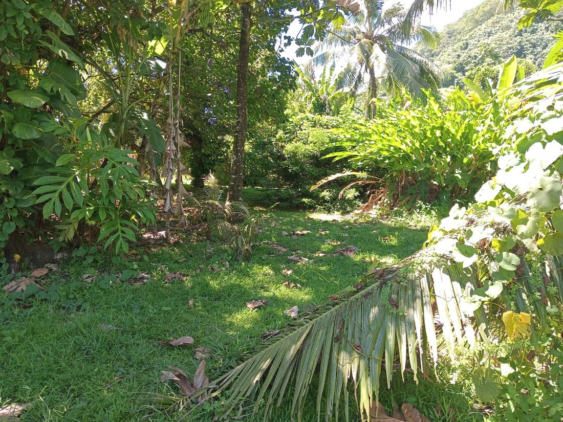Land in Afaahiti, Windward Islands, French Polynesia 3 - 17554208