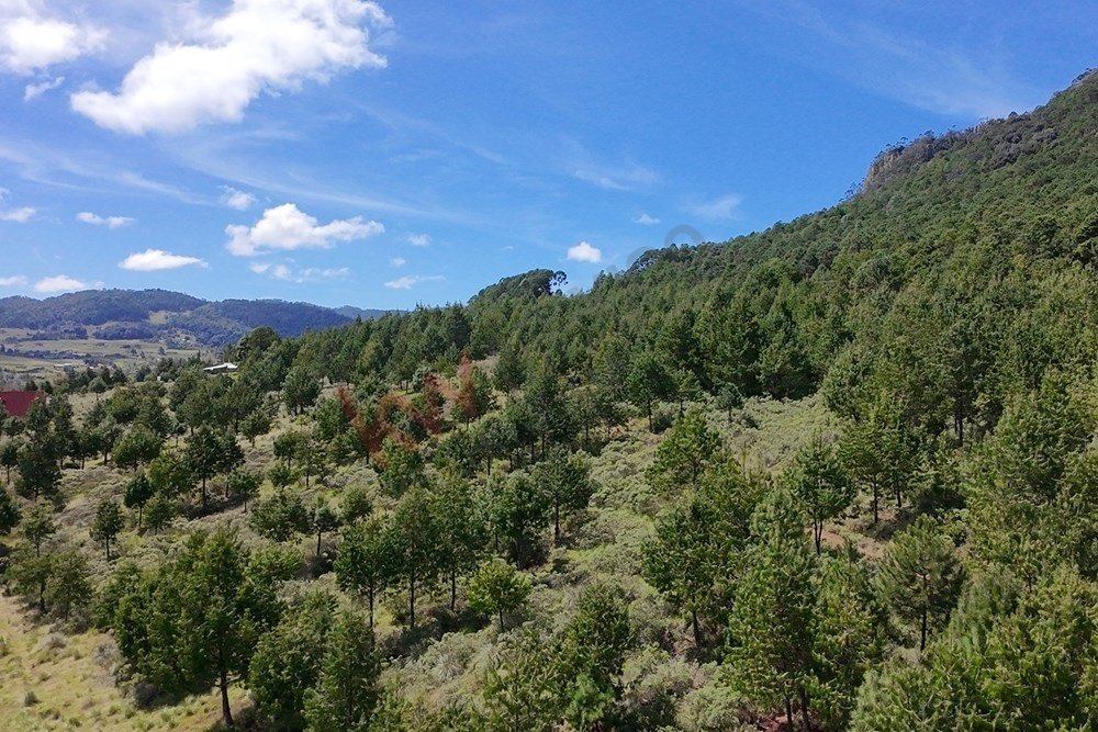 Land in Tlamimilolpa, Hidalgo, Mexico 1 - 17550751
