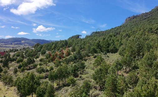 Terreno a Tlamimilolpa, Hidalgo, Messico 1