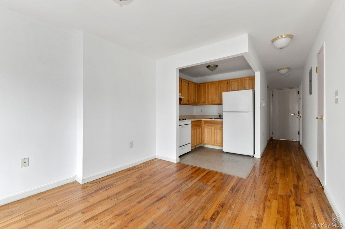 House in New York, New York, United States 5 - 17552320
