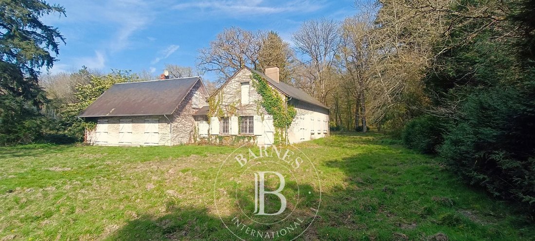 Estate in Salbris, Centre-Val de Loire, France 4 - 17550308
