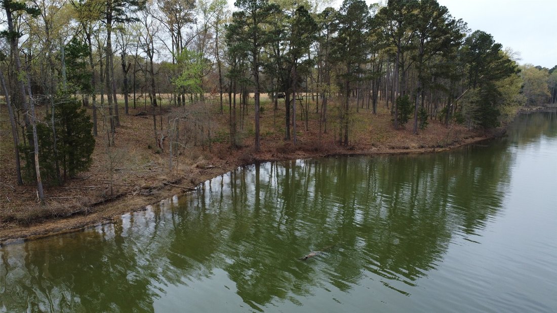 Land in Pittsburg, Texas, United States 3 - 17550707