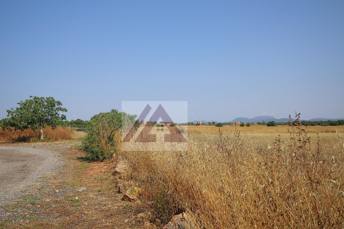 Country House in Campos, Balearic Islands, Spain 3 - 17548397