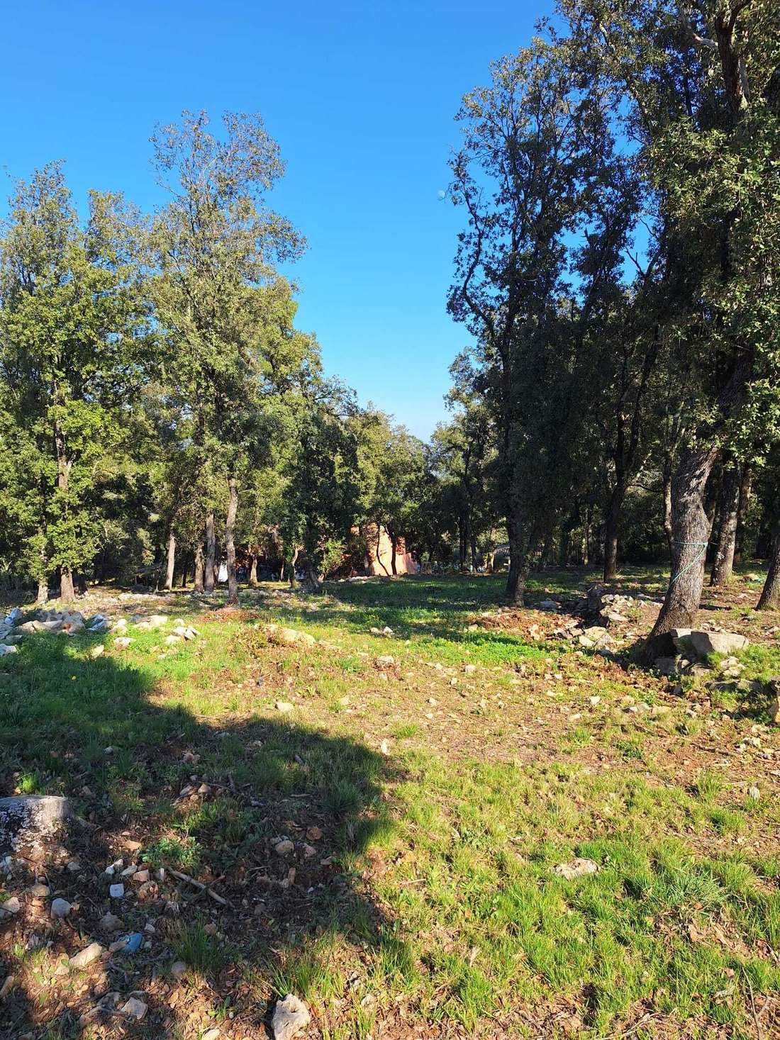 House in Le Thoronet, Provence-Alpes-Côte d'Azur, France 5 - 17550391