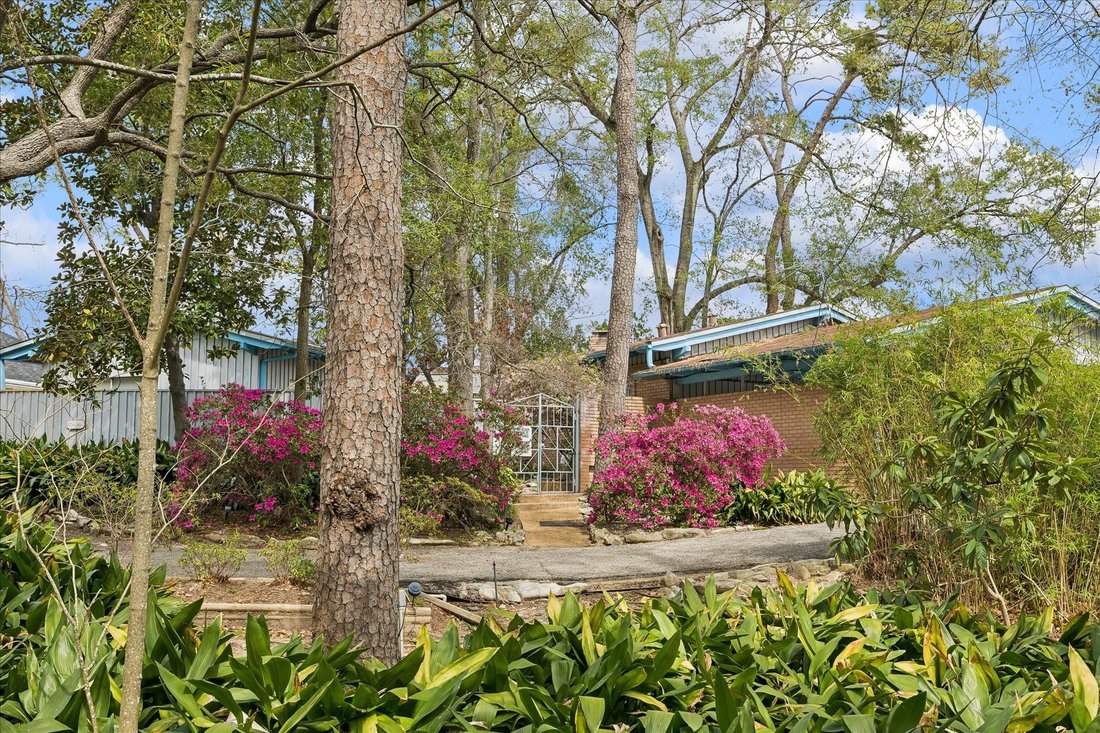 House in Houston, Texas, United States 5 - 17548543
