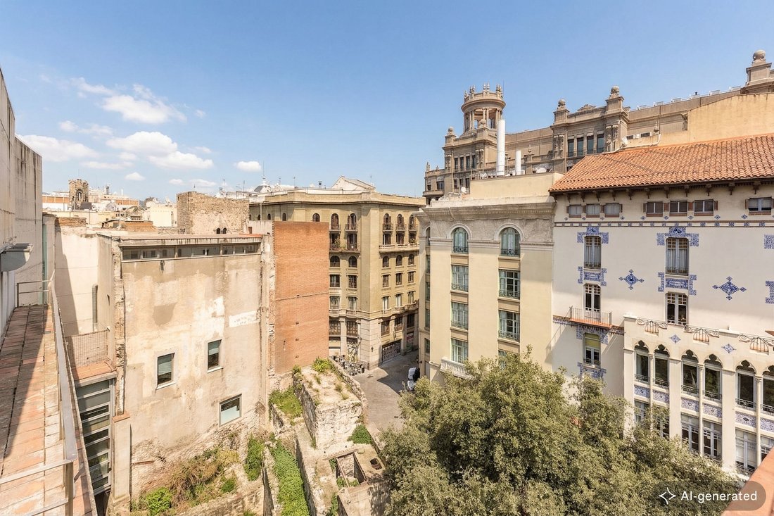 Apartment in Ciutat Vella, Barcelona, Spain 5 - 17553240