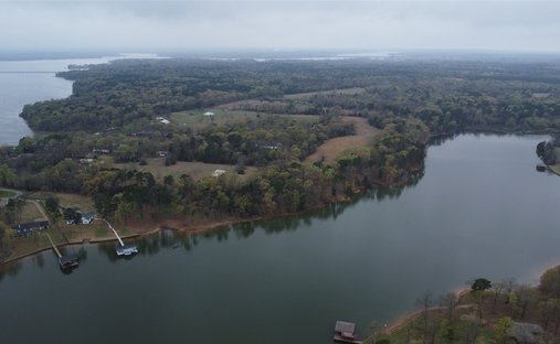 Land in Pittsburg, Texas, United States 1