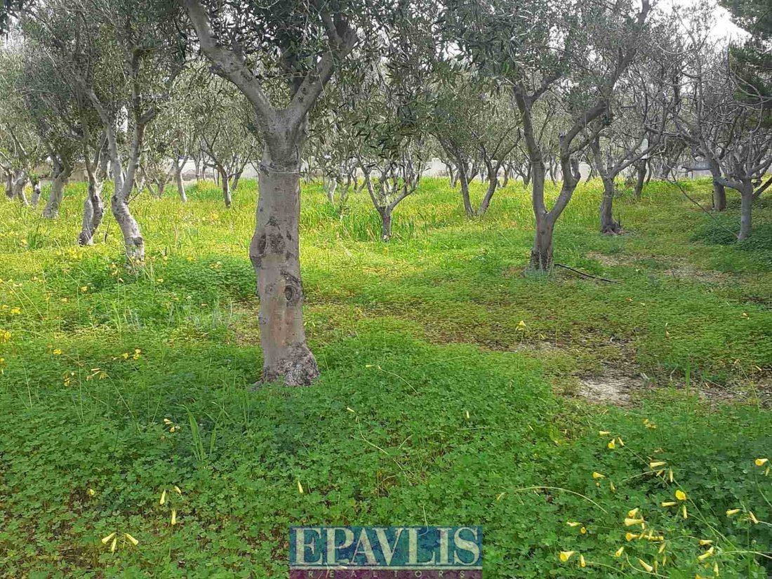 Land in Aegina, Attica, Greece 2 - 17548755
