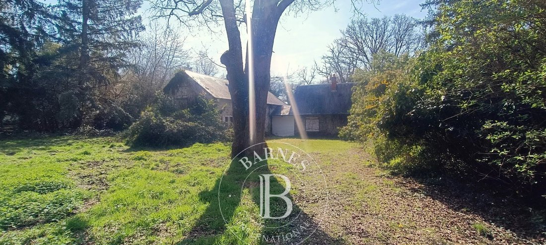 Estate in Salbris, Centre-Val de Loire, France 5 - 17550308