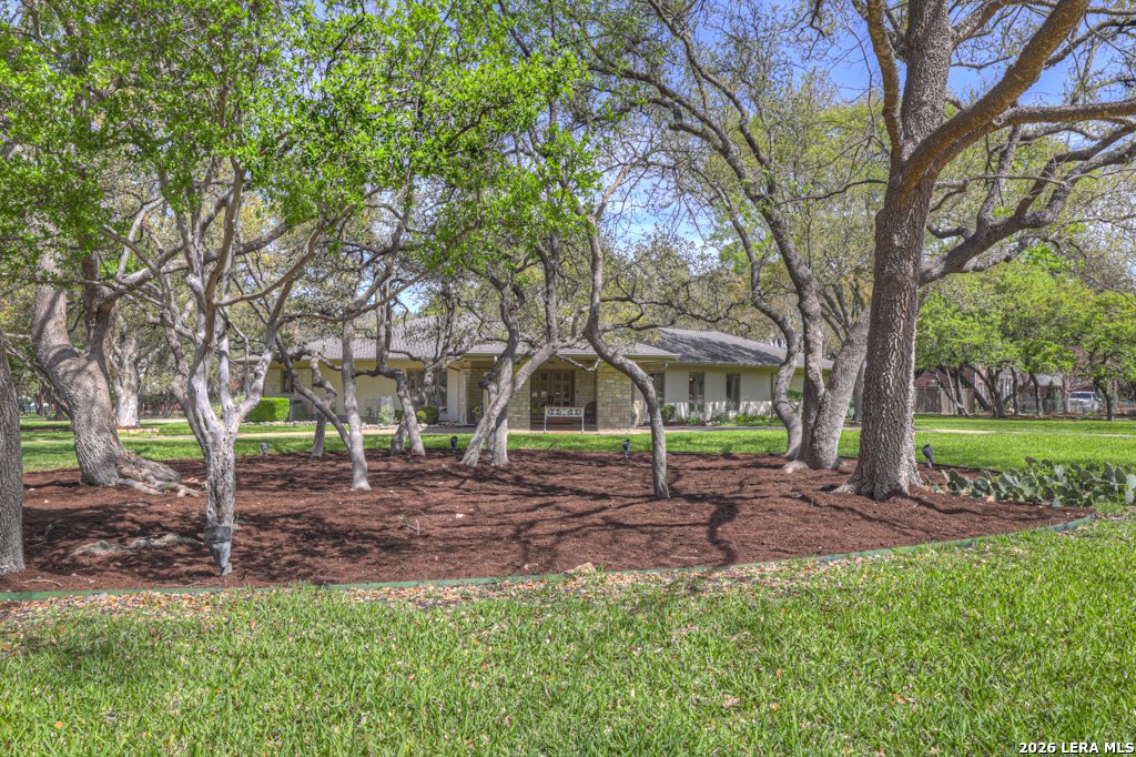 House in New Braunfels, Texas, United States 2 - 17550671