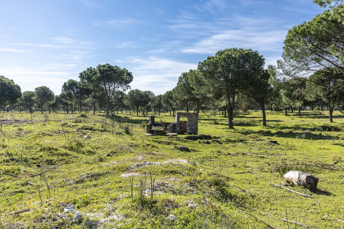 Terreno a Gambia-Pontes-Alto da Guerra, Setúbal Municipality, Portogallo 5 - 17452104