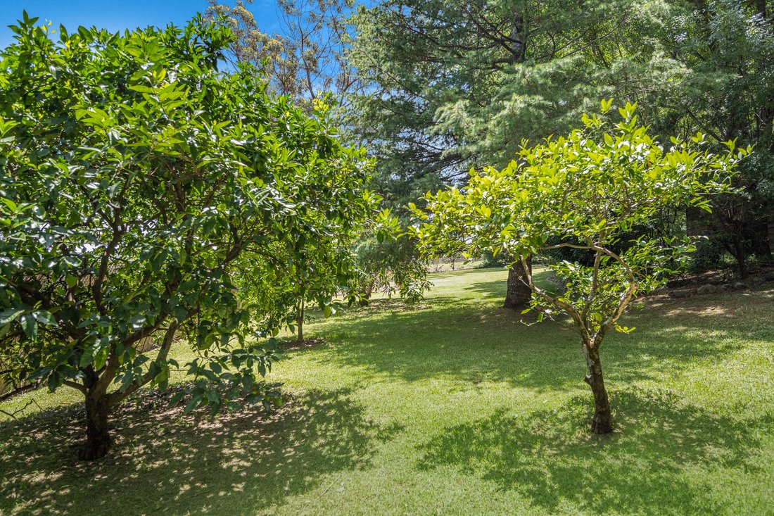House in Berry, New South Wales, Australia 4 - 17554074