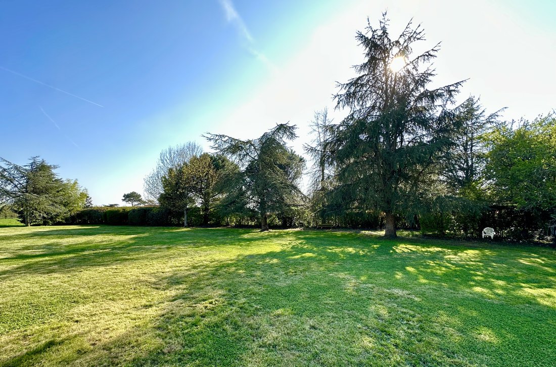 House in Mauves-sur-Loire, Pays de la Loire, France 3 - 17549552