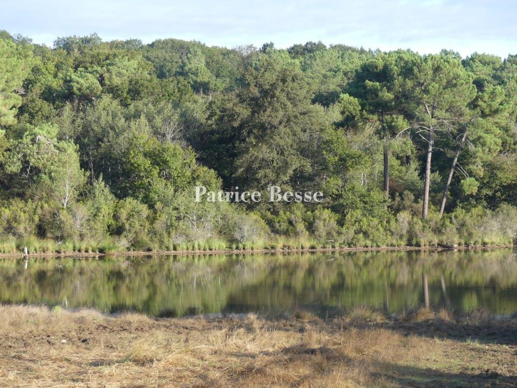House in Yzeures-sur-Creuse, Centre-Val de Loire, France 2 - 17553129