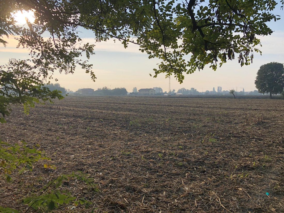 Land in Castel d'Azzano, Veneto, Italy 5 - 15119317