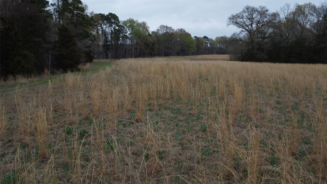 Land in Pittsburg, Texas, United States 5 - 17550707