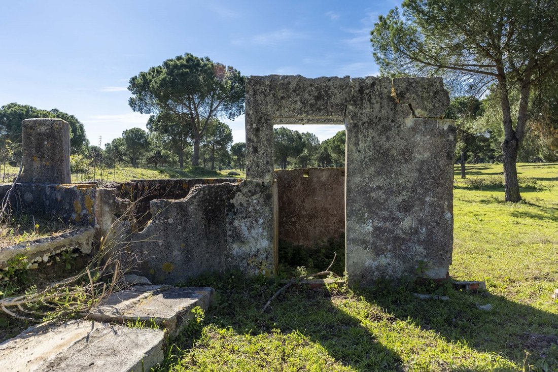 Terreno a Gambia-Pontes-Alto da Guerra, Setúbal Municipality, Portogallo 4 - 17452104