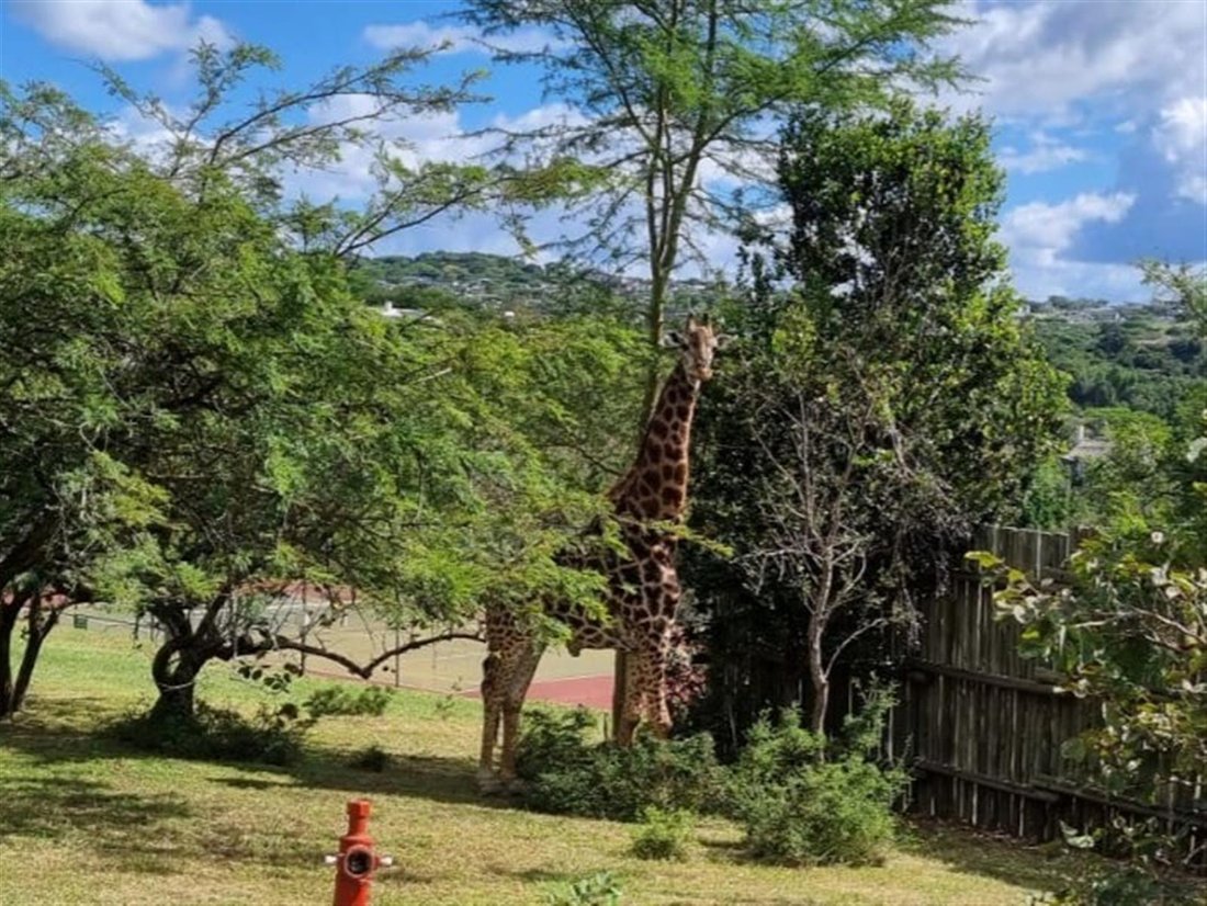 House in Sonheuwel, Mbombela, Mpumalanga 1 - 17553033