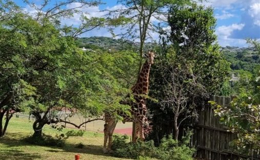 Casa a Nelspruit, Mpumalanga, Sudafrica 1