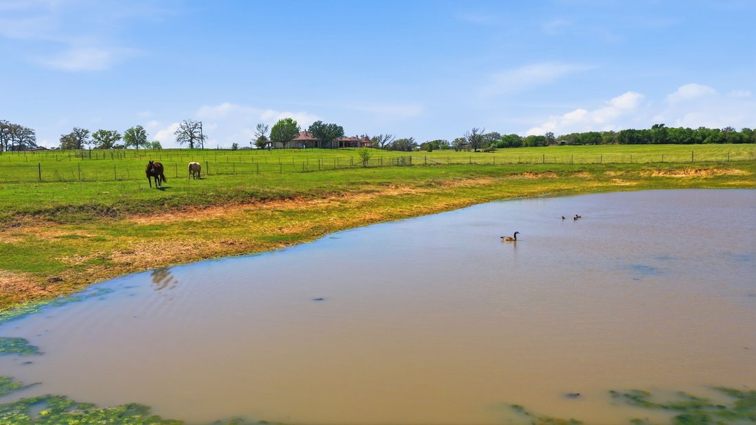 Azienda agricola a Springtown, Texas, Stati Uniti 5 - 17104604