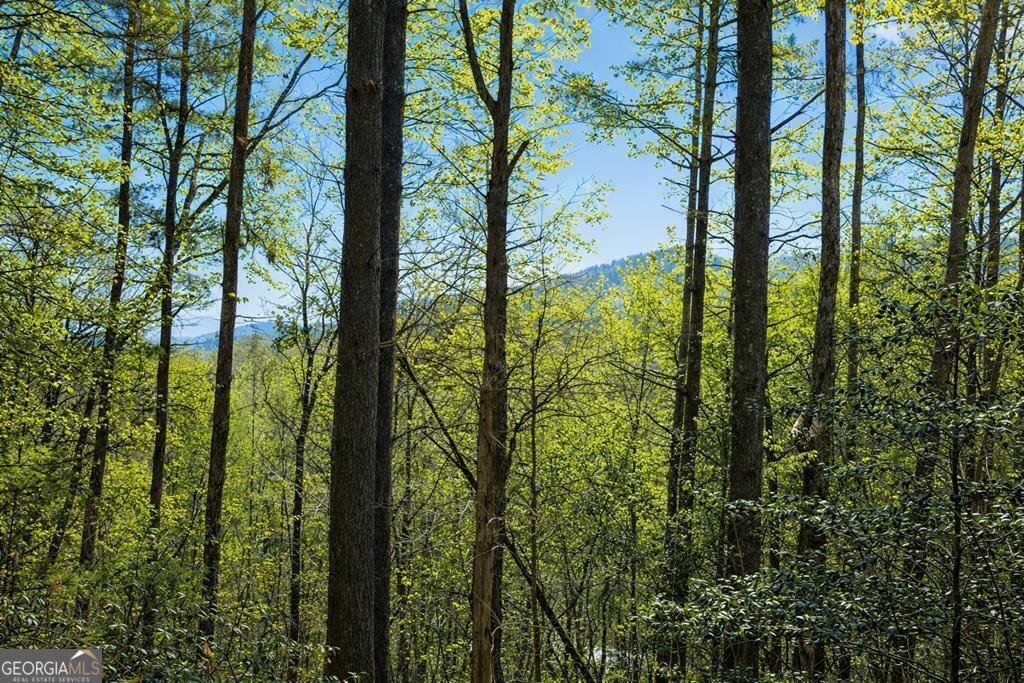 House in Ellijay, Georgia, United States 5 - 17552660