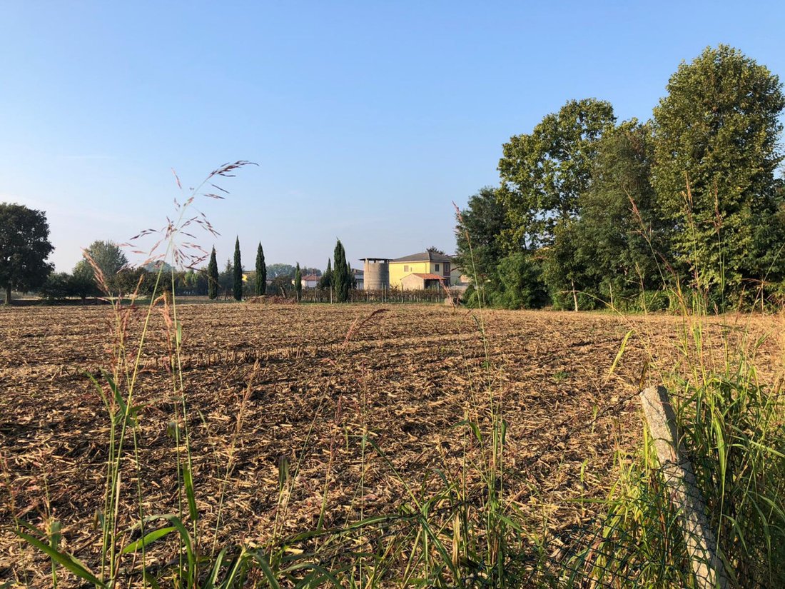 Land in Castel d'Azzano, Veneto, Italy 4 - 15119317