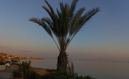 Land in Aegina, Attica, Greece 1