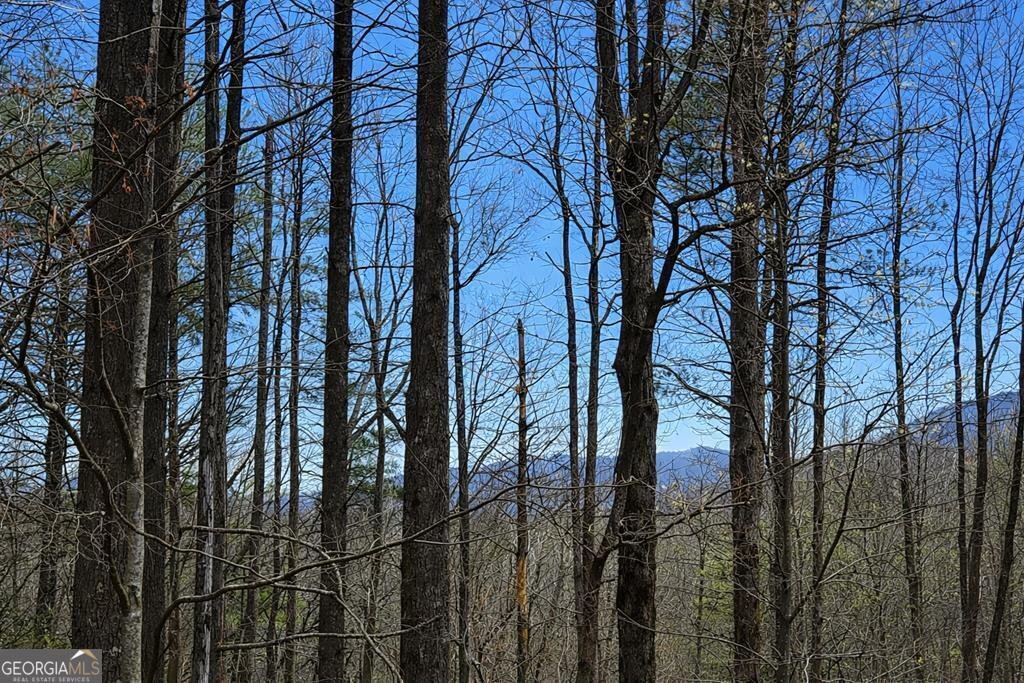 House in Ellijay, Georgia, United States 4 - 17552660