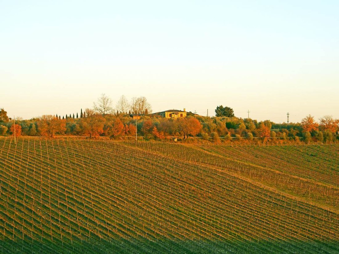Castellina in Chianti, Tuscany, Italy 3 - 17553210