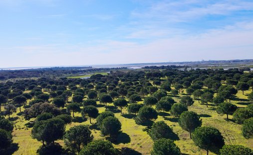 Land in Gambia-Pontes-Alto da Guerra, Setúbal Municipality, Portugal 1