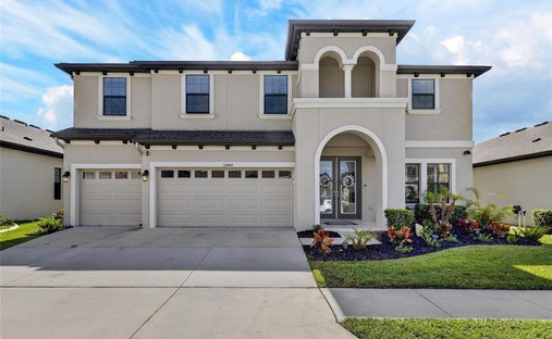 Casa a Lithia, Florida, Stati Uniti 1