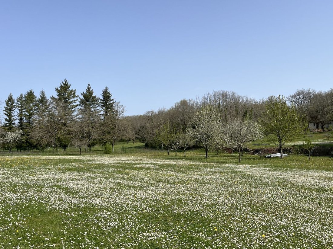 Estate in Martel, Occitania, France 2 - 17549582