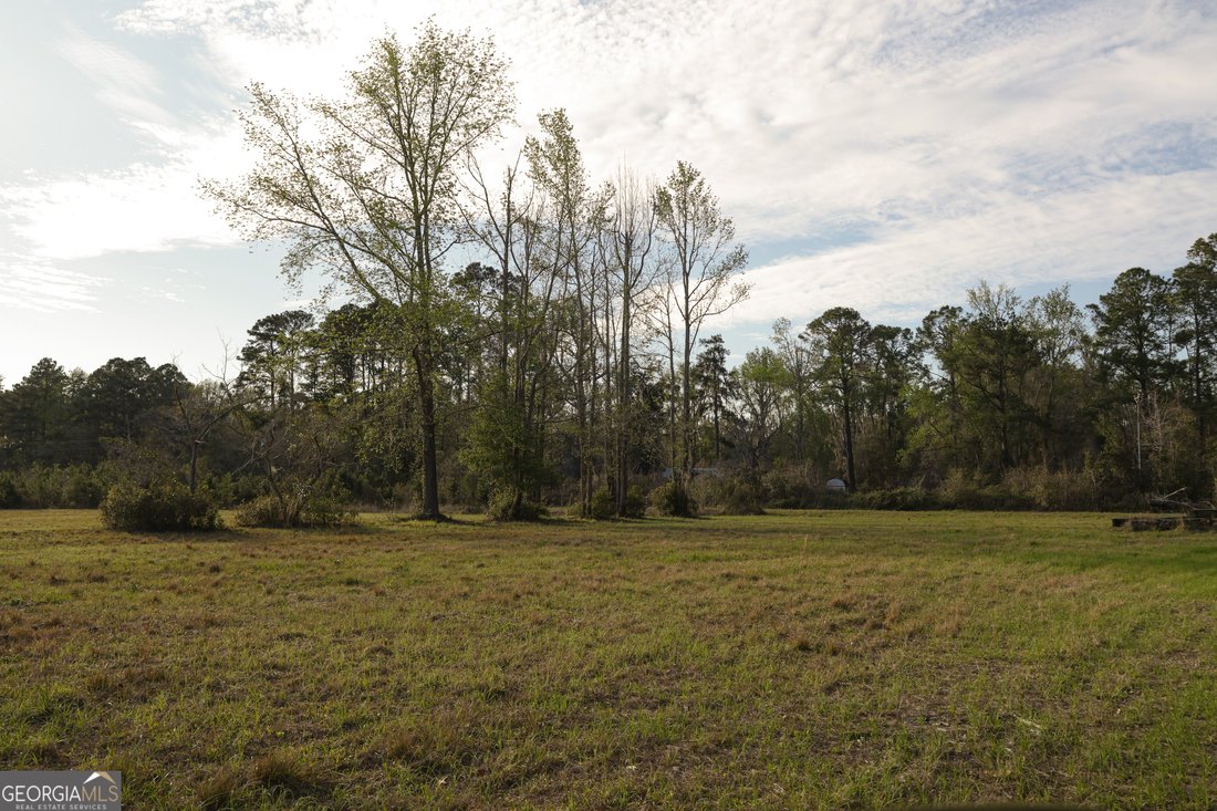 Farm Ranch in Woodbine, Georgia, United States 5 - 17554919