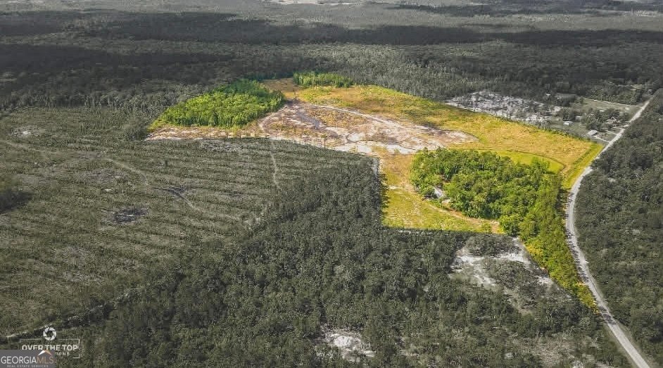 Farm Ranch in Woodbine, Georgia, United States 1 - 17554919