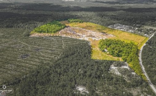 Farm Ranch in Woodbine, Georgia, United States 1