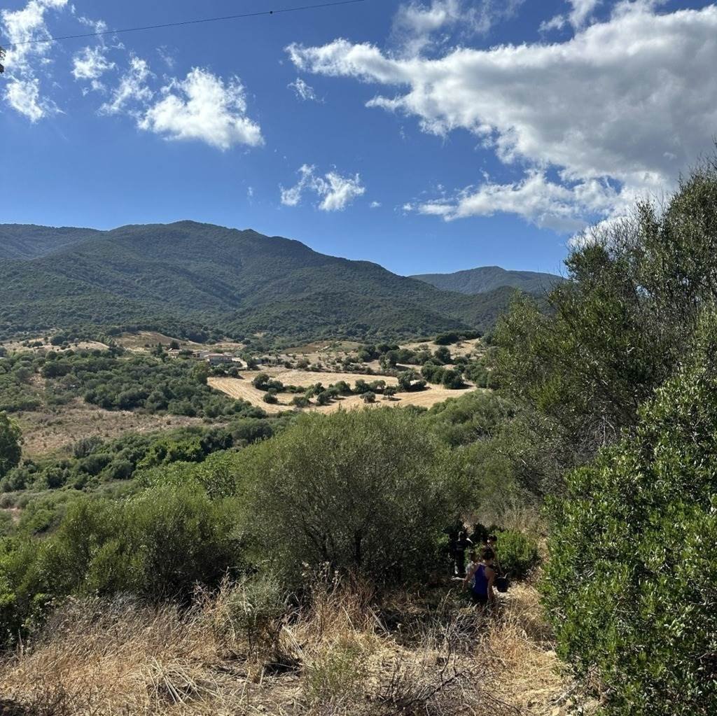 Farm Ranch in Castiadas, Sardinia, Italy 4 - 17553204