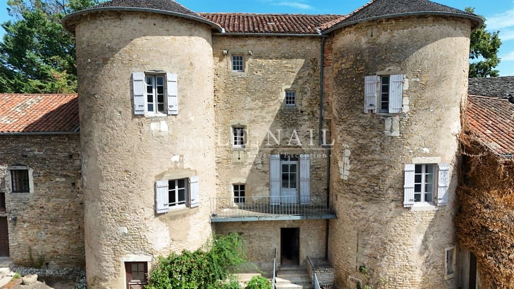 Castle in Mâcon, Bourgogne – Franche-Comté, France 3 - 17553295