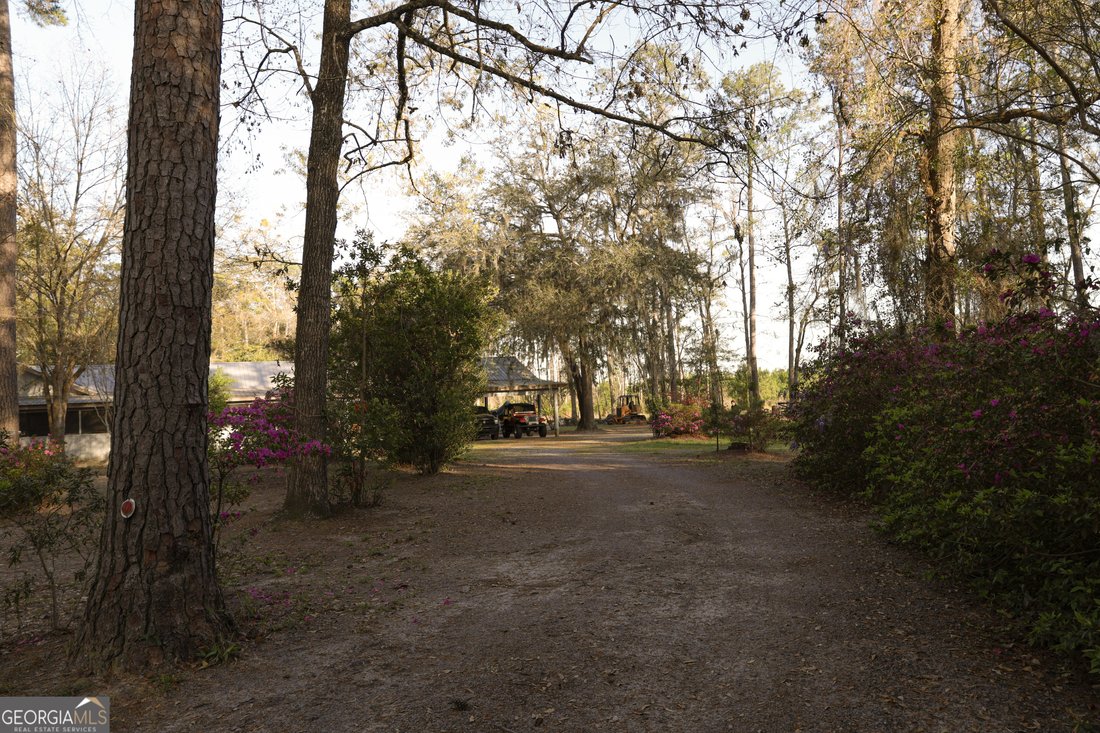 Farm Ranch in Woodbine, Georgia, United States 2 - 17554919