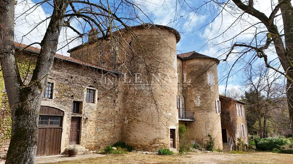 Castle in Mâcon, Bourgogne – Franche-Comté, France 2 - 17553295