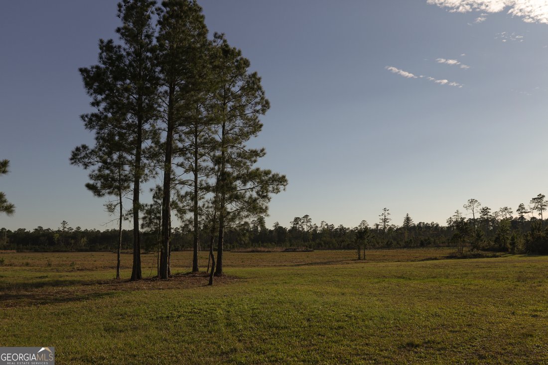 Farm Ranch in Woodbine, Georgia, United States 4 - 17554919
