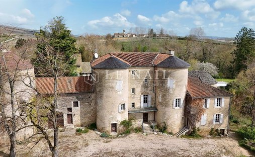 Castle in Mâcon, Bourgogne – Franche-Comté, France 1