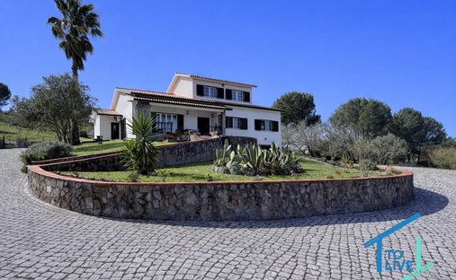 Villa in Madalena e Beselga, Santarem District, Portugal 1