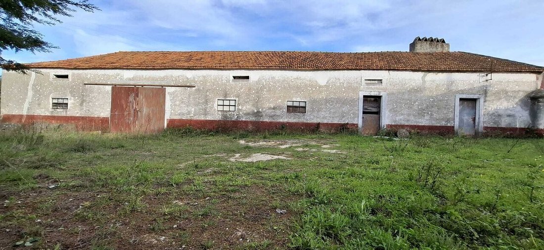 Farm Ranch in Marmeleira e Assentiz, Santarem District, Portugal 5 - 17555415