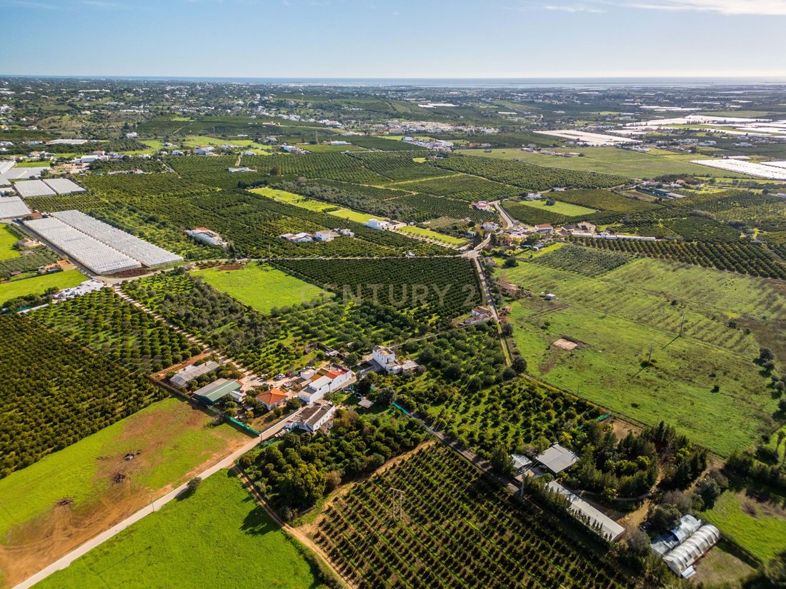 Villa in Estoi, Algarve, Portugal 2 - 17555347