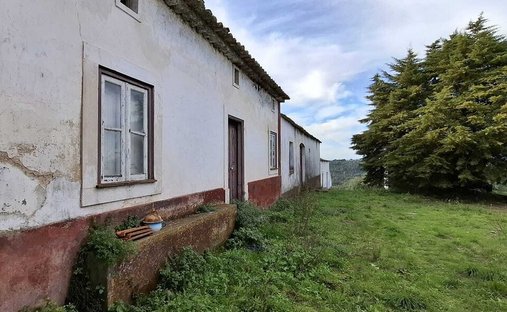 Azienda agricola a Marmeleira e Assentiz, Distretto di Santarém, Portogallo 1