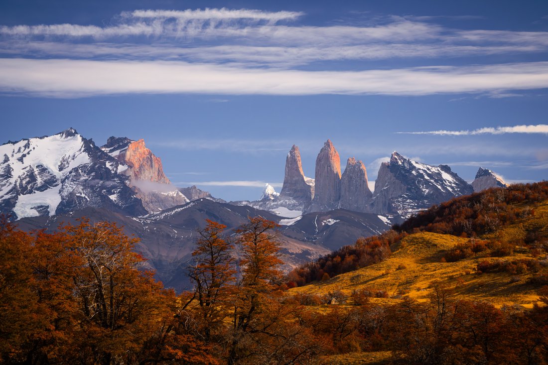 Land in Torres del Paine, Magallanes and Chilean Antarctica, Chile 1 - 17555555
