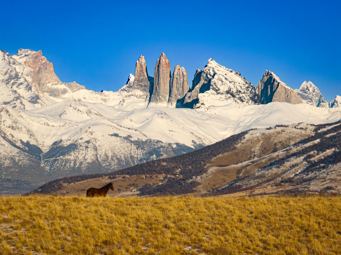 Land in Torres del Paine, Magallanes and Chilean Antarctica, Chile 4 - 17555555